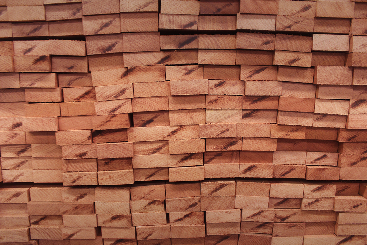 Malaysia Timber Exporter